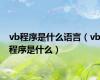 vb程序是什么语言（vb程序是什么）