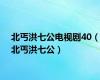北丐洪七公电视剧40（北丐洪七公）