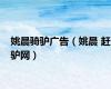 姚晨骑驴广告（姚晨 赶驴网）