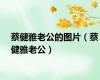 蔡健雅老公的图片（蔡健雅老公）