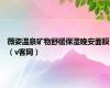 薇姿温泉矿物舒缓保湿晚安面膜（v客网）
