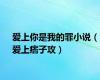 爱上你是我的罪小说（爱上痞子攻）