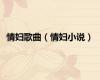 情妇歌曲（情妇小说）