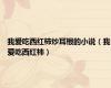 我爱吃西红柿炒耳根的小说（我爱吃西红柿）
