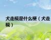 犬走椛是什么梗（犬走椛）