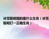 冰雪聪明指的是什么生肖（冰雪聪明打一正确生肖）