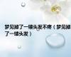 梦见掉了一缕头发不疼（梦见掉了一缕头发）