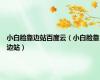 小白脸靠边站百度云（小白脸靠边站）