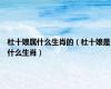 杜十娘属什么生肖的（杜十娘是什么生肖）