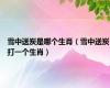 雪中送炭是哪个生肖（雪中送炭打一个生肖）
