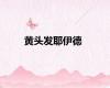 黄头发耶伊德