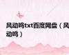 风动鸣txt百度网盘（风动鸣）