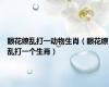 眼花缭乱打一动物生肖（眼花缭乱打一个生肖）