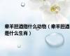 牵羊担酒指什么动物（牵羊担酒是什么生肖）