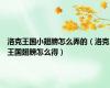 洛克王国小翅膀怎么弄的（洛克王国翅膀怎么得）