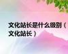 文化站长是什么级别（文化站长）