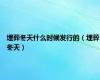 埋葬冬天什么时候发行的（埋葬冬天）