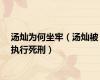 汤灿为何坐牢（汤灿被执行死刑）