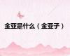 金亚是什么（金亚子）