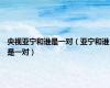央视亚宁和谁是一对（亚宁和谁是一对）