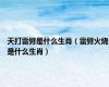 天打雷劈是什么生肖（雷劈火烧是什么生肖）