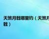 天煞月戟哪里钓（天煞月戟）