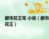都市花王笔 小说（都市花王）