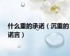 什么重的承诺（沉重的诺言）
