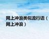 网上冲浪类似流行语（网上冲浪）