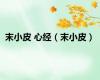 末小皮 心经（末小皮）