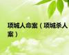 项城人命案（项城杀人案）