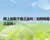 网上的鞋子是正品吗（拍鞋网是正品吗）
