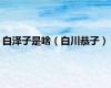 白泽子是啥（白川恭子）