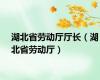 湖北省劳动厅厅长（湖北省劳动厅）