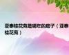 亚泰桂花苑是哪年的房子（亚泰桂花苑）