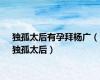 独孤太后有孕拜杨广（独孤太后）