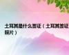 土耳其是什么签证（土耳其签证照片）