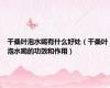 干桑叶泡水喝有什么好处（干桑叶泡水喝的功效和作用）