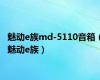 魅动e族md-5110音箱（魅动e族）