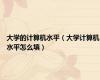 大学的计算机水平（大学计算机水平怎么填）