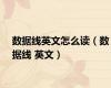 数据线英文怎么读（数据线 英文）