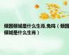 倾国倾城是什么生肖,兔鸣（倾国倾城是什么生肖）