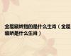 金屋藏娇指的是什么生肖（金屋藏娇是什么生肖）