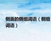 侧面的侧组词语（侧组词语）
