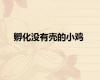 孵化没有壳的小鸡
