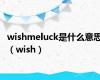 wishmeluck是什么意思（wish）