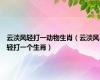 云淡风轻打一动物生肖（云淡风轻打一个生肖）