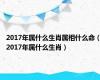 2017年属什么生肖属相什么命（2017年属什么生肖）