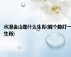 水漫金山是什么生肖(解个数打一生肖)