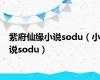 紫府仙缘小说sodu（小说sodu）